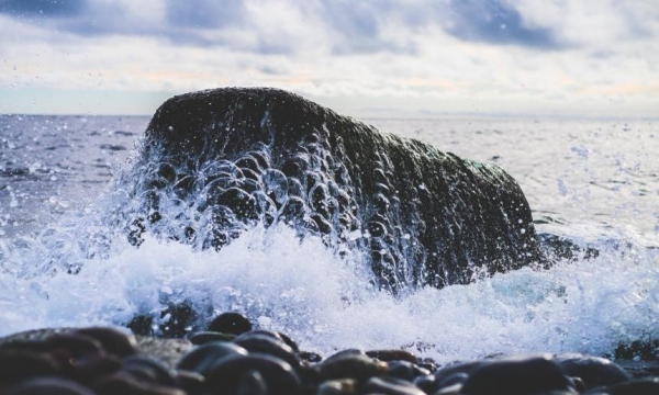В Северодвинске девушек, делавших селфи на камне, отрезало приливом от берега моря