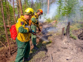 Россия в огне: особый противопожарный режим введён в 51 субъекте РФ, в том числе и в Архангельской области