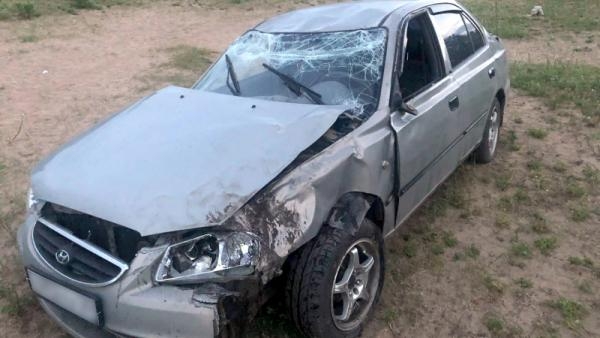 В Котласском районе водитель иномарки погиб после съезда в кювет