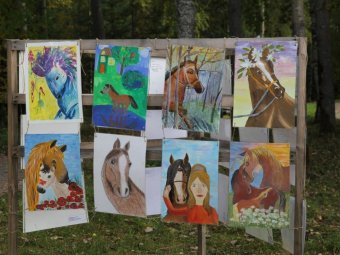 В Архангельске стартовал конкурс «Штрихи к портрету лошади»