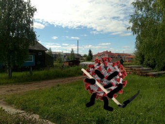 COVID-19 в Архангельской области выявили ещё у 223 северян