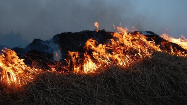 В Архангельской области травяной пожар едва не спалил целую деревню