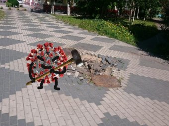 Злостный коронавирус проник в тела ещё 221 жителя Архангельской области