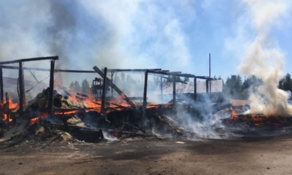 В Няндоме произошёл пожар на частной пилораме