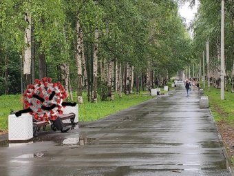 Коронавирусом заболело ещё 217 жителей Архангельской области, поправилось 267