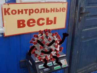 Коронавирус в Архангельской области: за сутки +257 новых случаев инфекции, 221 человек поправился