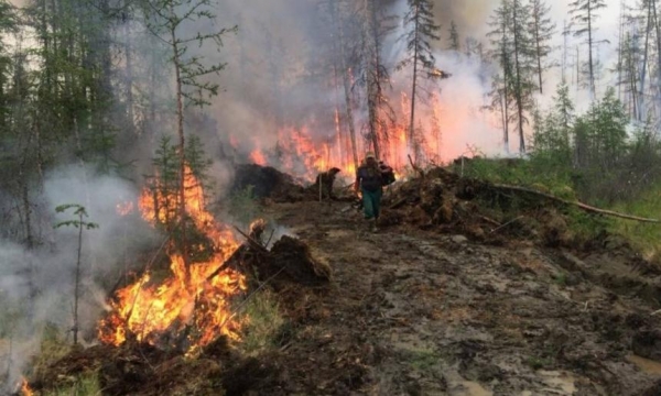 В последнюю неделю лета в Архангельской области возник только один лесной пожар