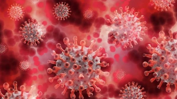В Архангельской области ещё 258 жителей заболели коронавирусной инфекцией