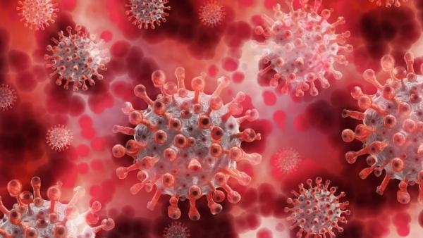 В Архангельской области ещё 268 жителей заболели коронавирусом