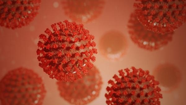 Третий день подряд в Поморье выявляют более 290 новых заболевших коронавирусом