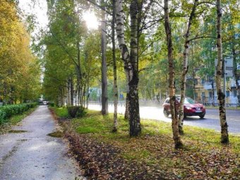 На выходных в Архангельске будет царствовать юго-западный ветер: прогноз погоды