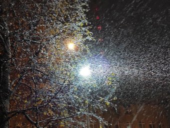 Снег с дождём: прогноз погоды в Архангельске на грядущую рабочую неделю