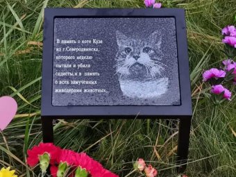 Замученному в Северодвинске коту Кузе установили мемориал на петербургском кладбище животных