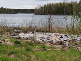 На 2022 год в Архангельской области запланирована тотальная чистка лесов от свалок