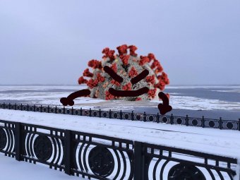 В Архангельской области коронавирус подтвердился ещё у 435 человек