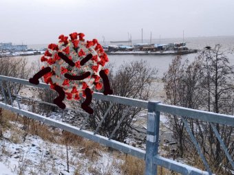 В Архангельской области коронавирусом за субботу заразились 450 человек