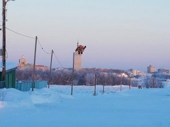 Ситуация с коронавирусом в Архангельской области: поправились 256 человек, заболели ещё 365