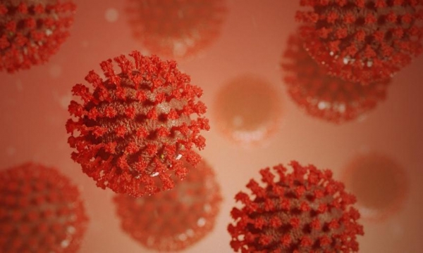 В Совете Федерации считают, что новый штамм коронавируса «омикрон» уже пришёл в Россию
