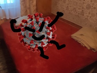 За сутки в Архангельской области коронавирусом заразились ещё 329 человек