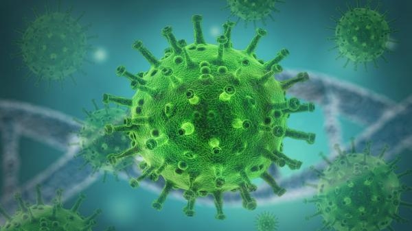 В Архангельской области впервые за полгода выявили менее 200 случаев коронавируса 