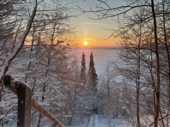 В начале первой рабочей недели 2022 года в Архангельске немного потеплеет: прогноз погоды