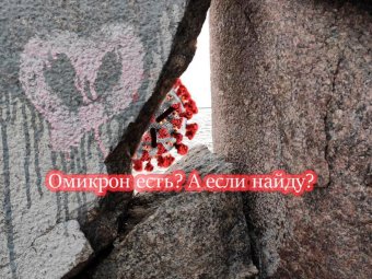 Минздрав: случаев «омикрона» в Архангельской области не зафиксировано