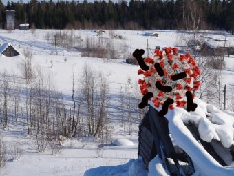 Праздники закончились — корона снова актуальна. Ещё 223 жителя Архангельской области заразились COVID-19