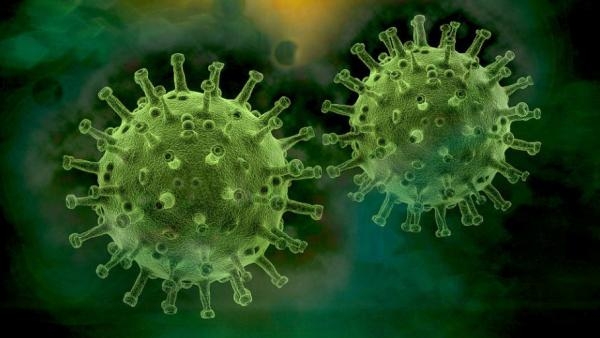 В Поморье вторые сутки подряд выявляют 160 новых заболевших коронавирусом