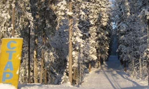 1 января в Архангельске и Северодвинске работают лыжные базы